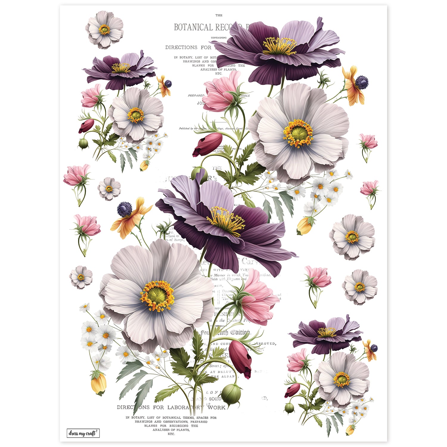 Rub-On Transfer Sheet -Set 1