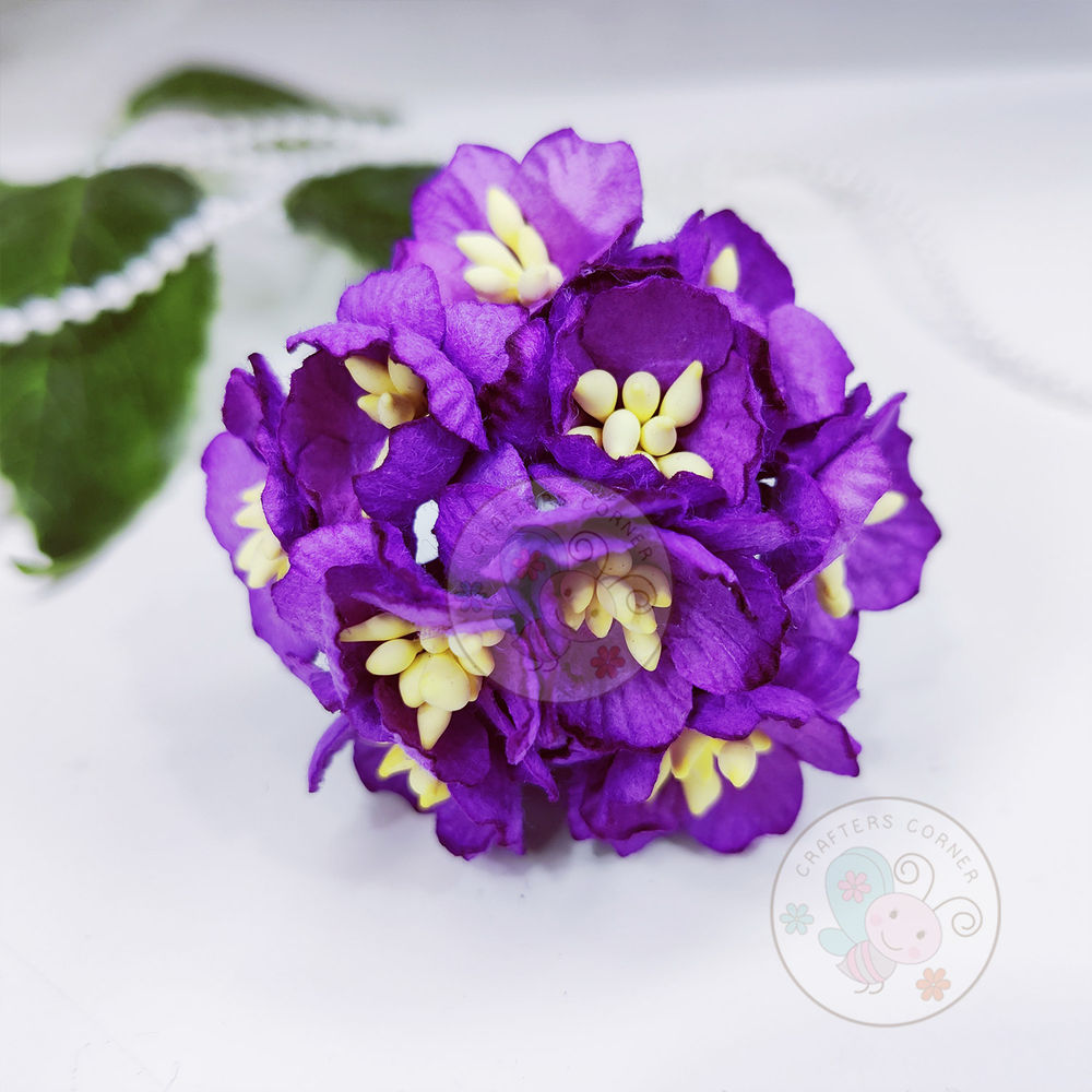 Cherry Blossoms - Purple