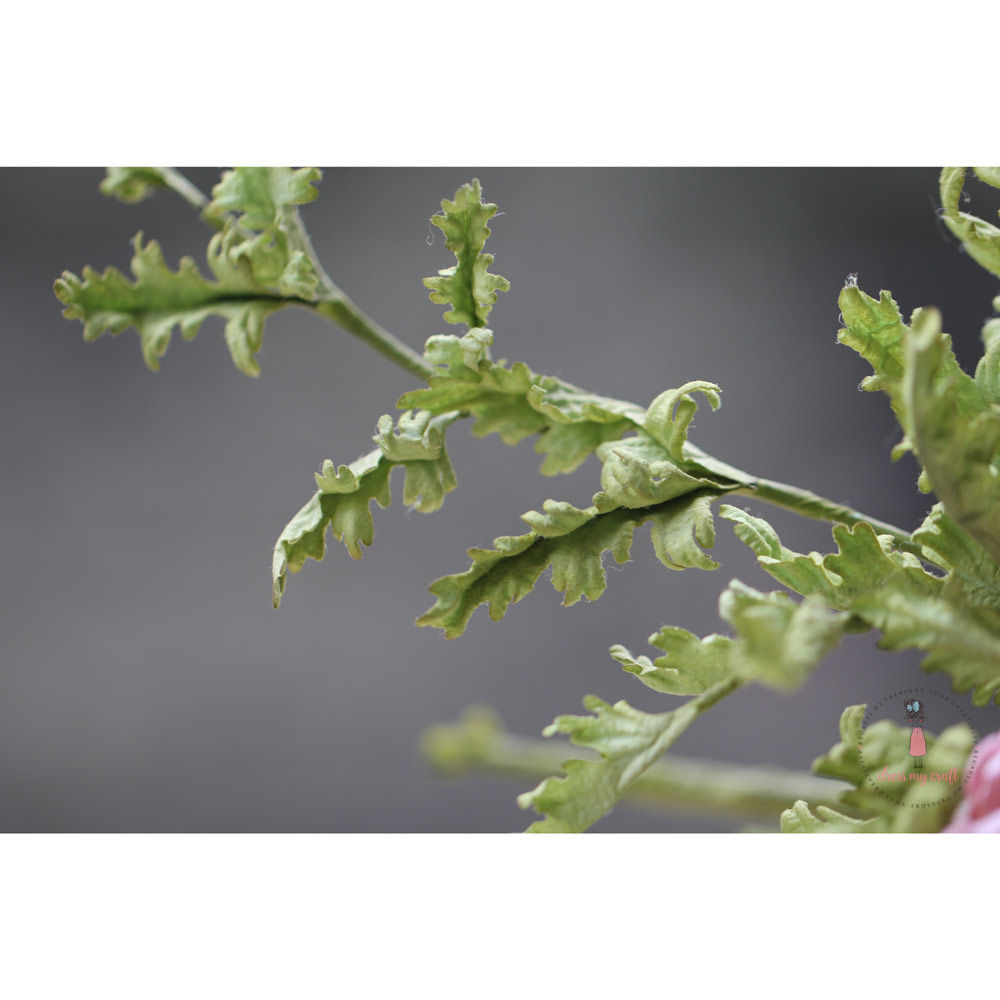 Fern Leaves Set - Die