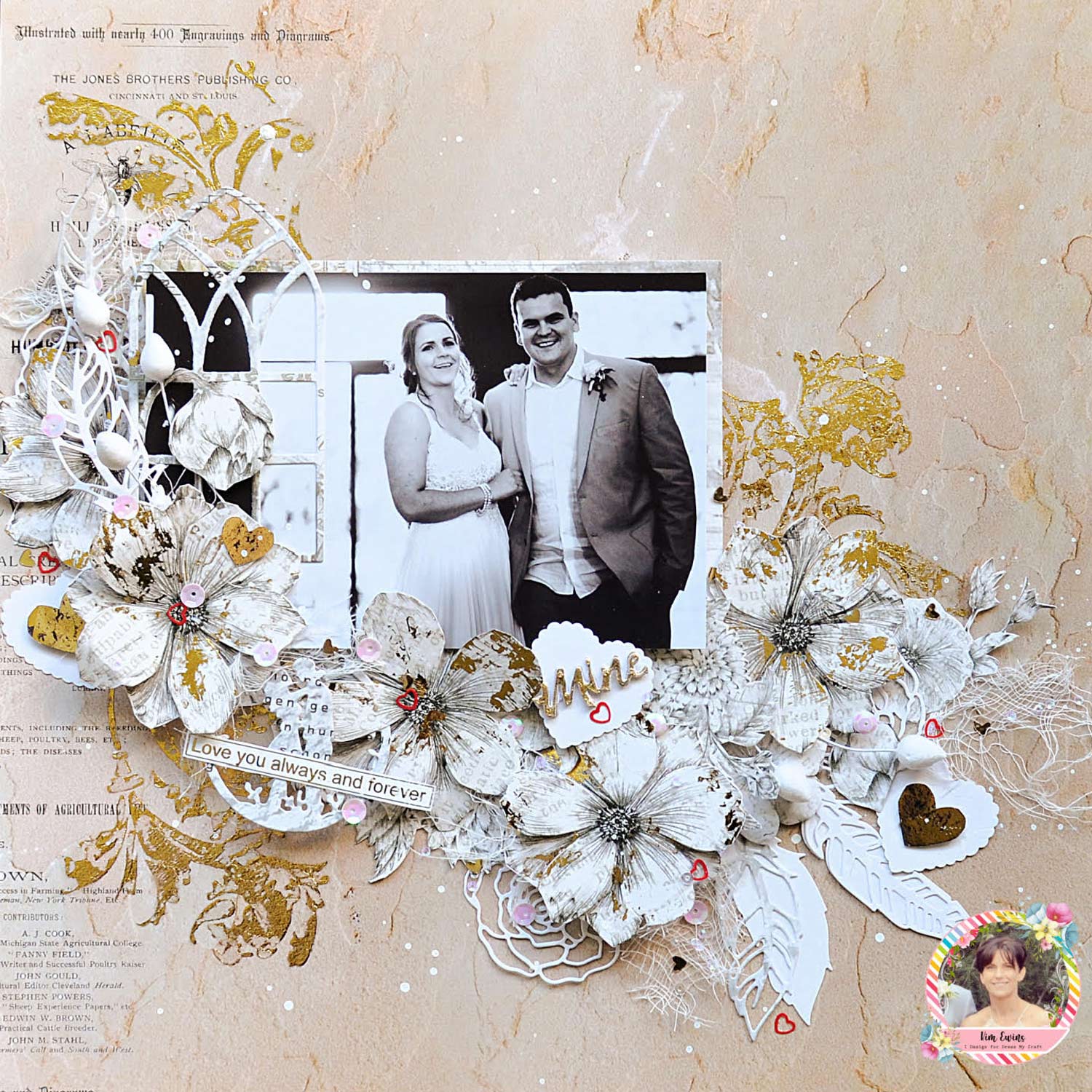 Cat & Window - Basic Designer Dies