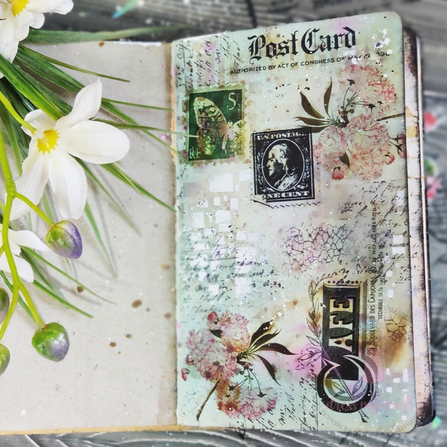 Botanical Scripts - Transfer Me