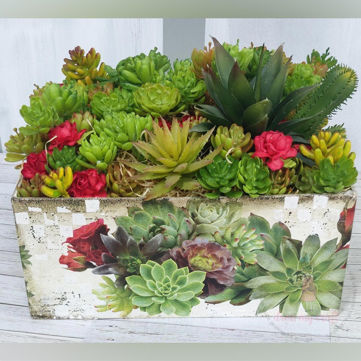 Succulents With Roses - Transfer Me (12.5" x 18.5")