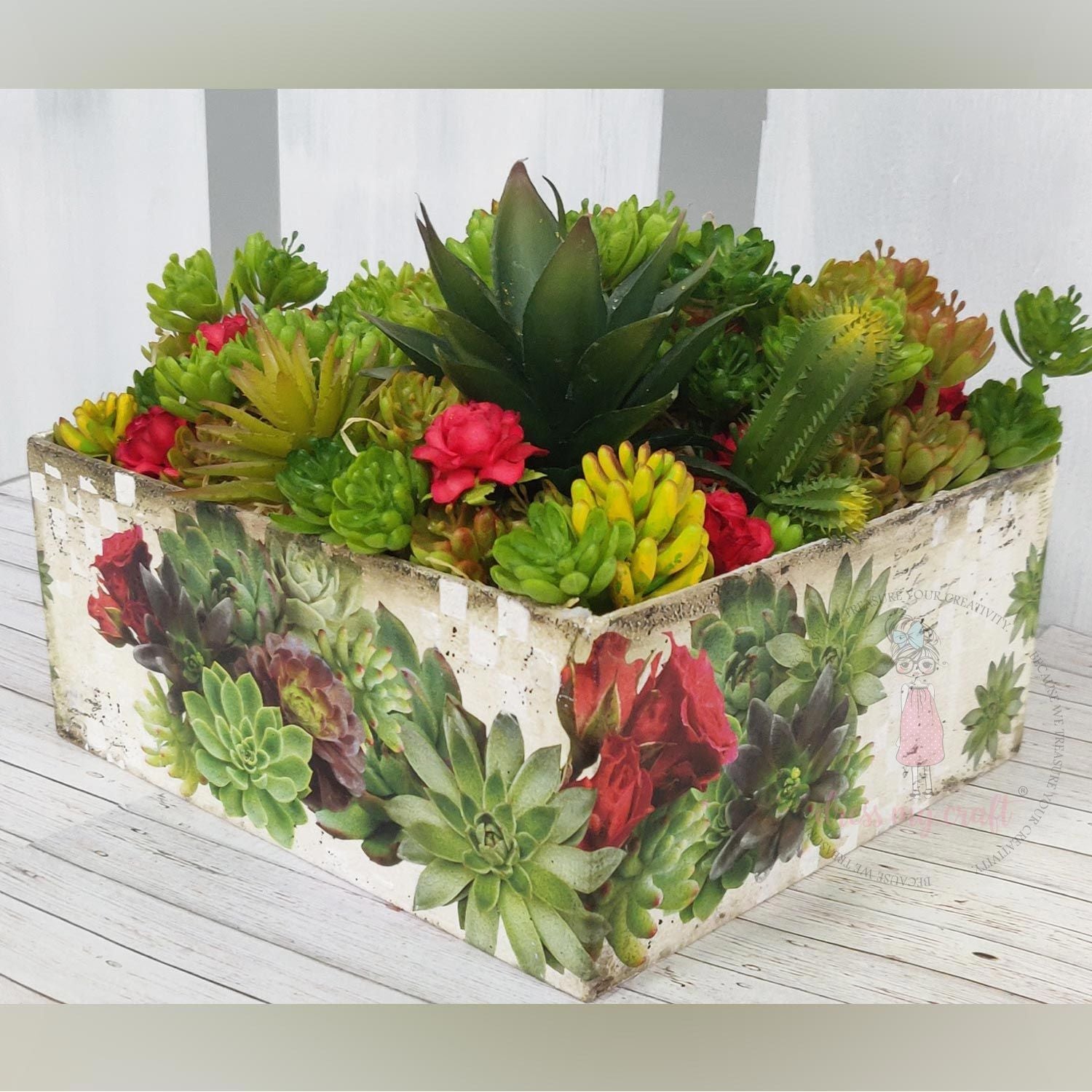 Succulents With Roses - Transfer Me (12.5" x 18.5")