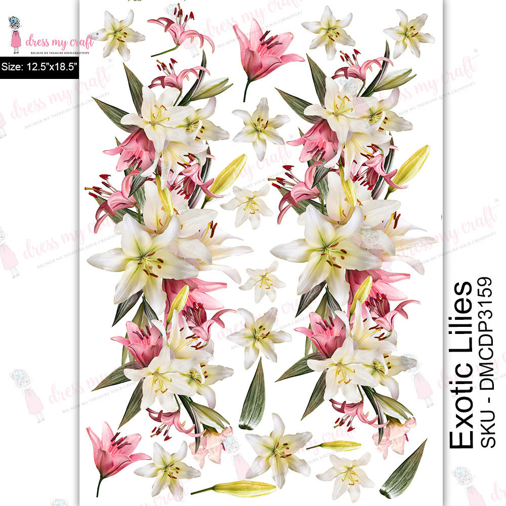 Exotic Lilies - Transfer Me (12.5" x 18.5")