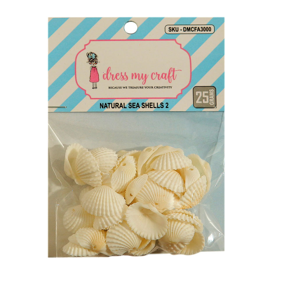 Natural Sea Shells 2