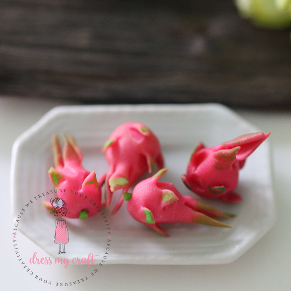 Miniature Red Dragon Fruit