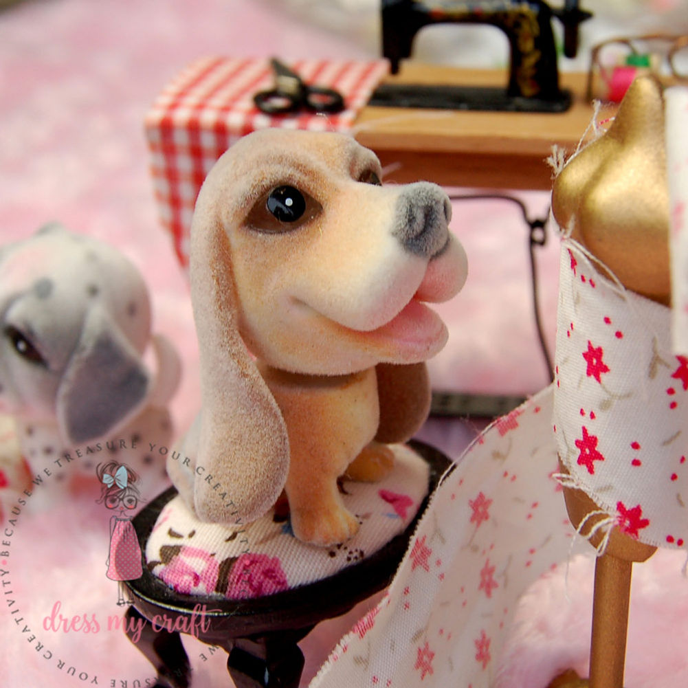 Miniature Dog - Jimmy