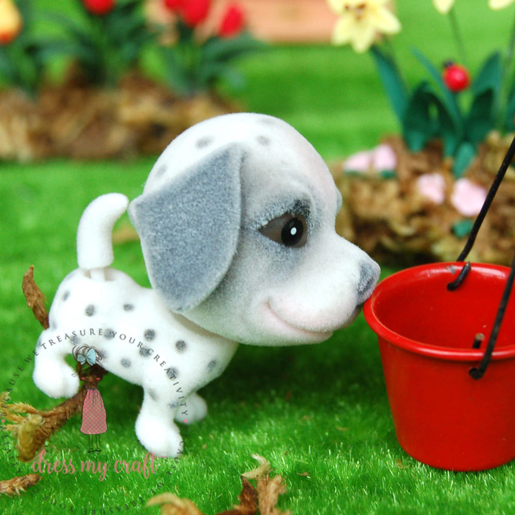 Miniature Dog - Charlie