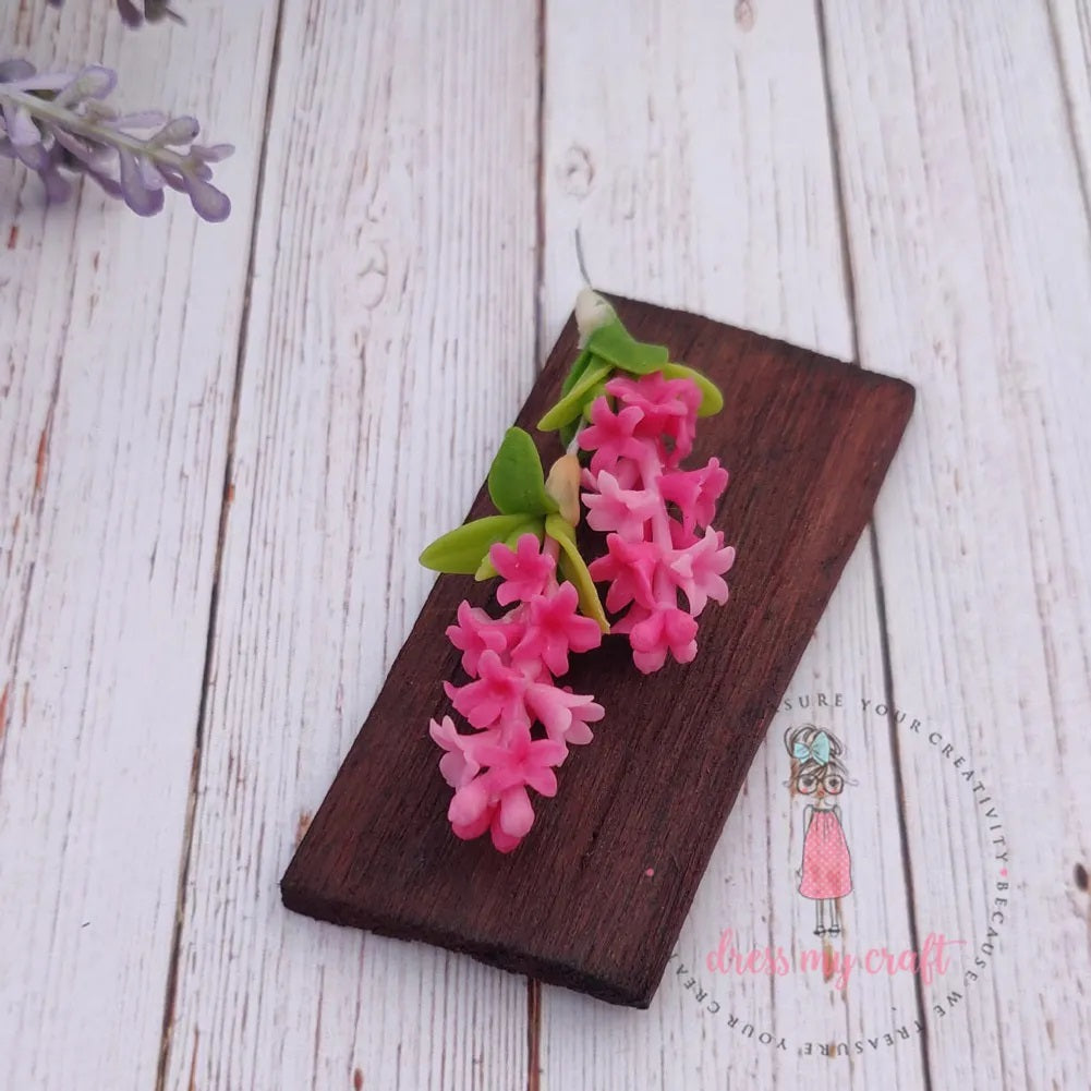 Pink Hyacinth Flower