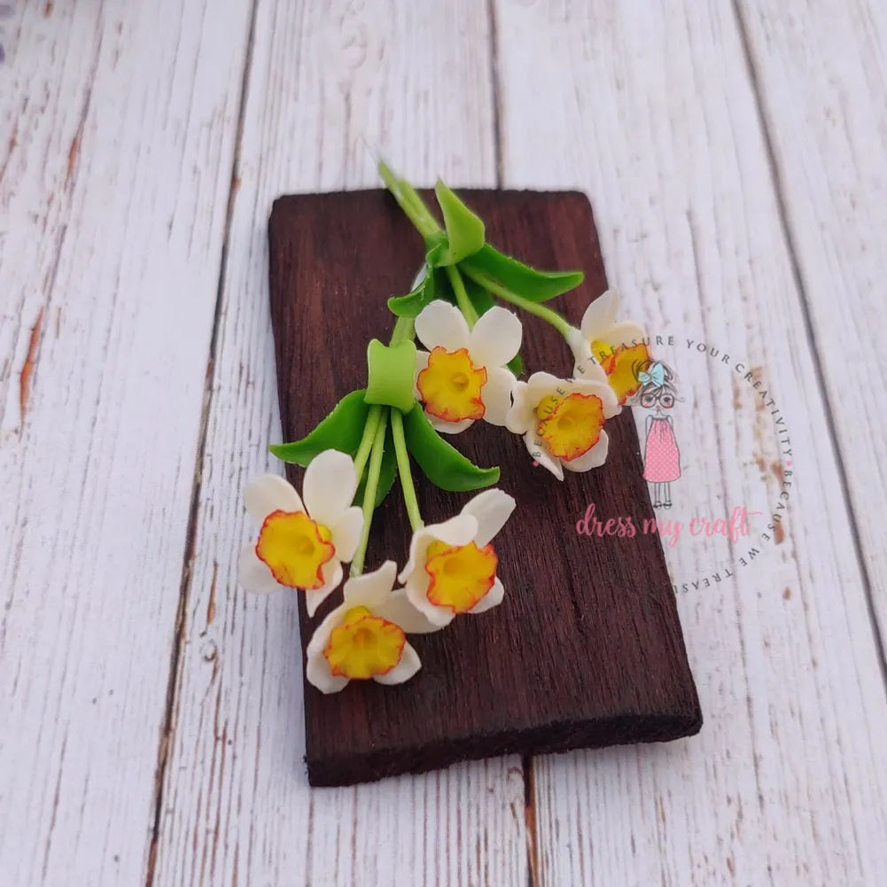 White Yellow Daffodil Flower