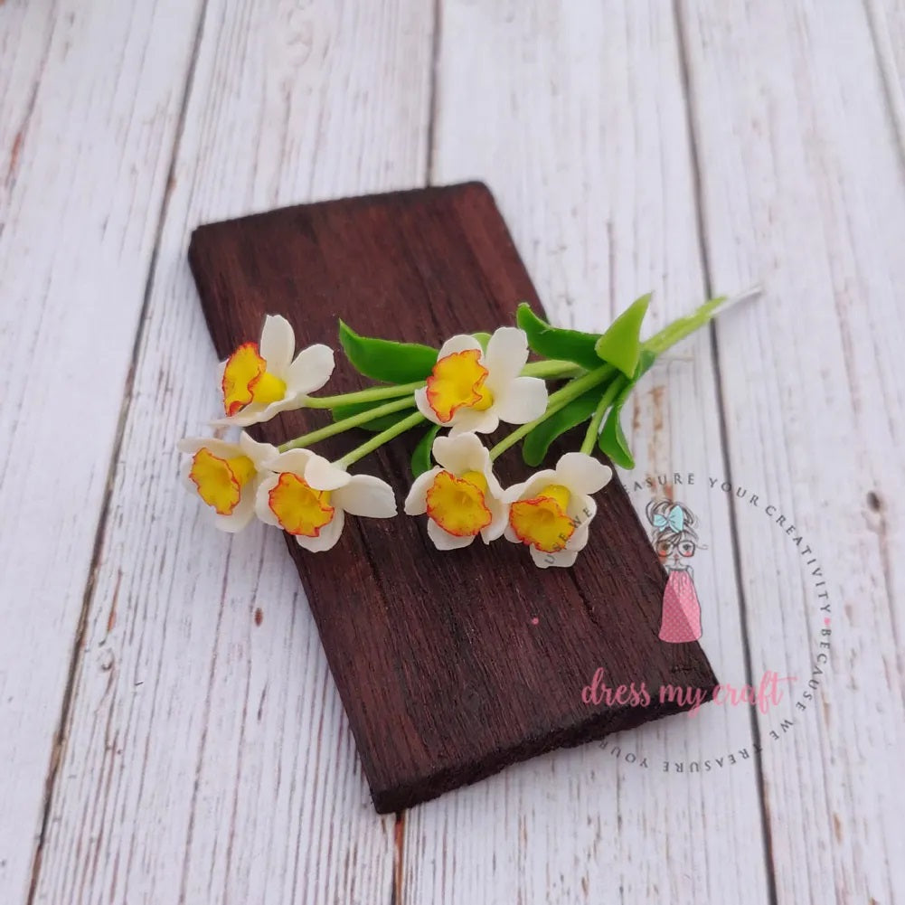 White Yellow Daffodil Flower