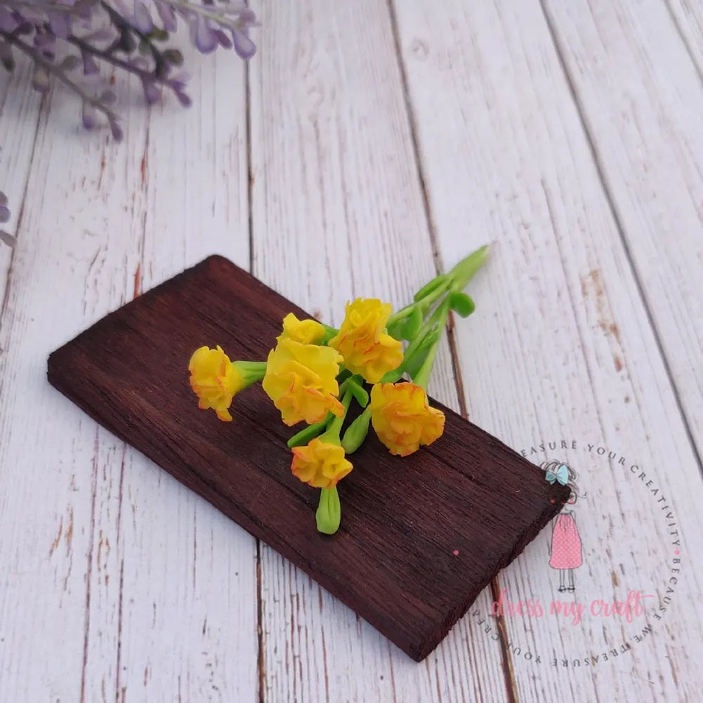 Yellow Carnation Flower