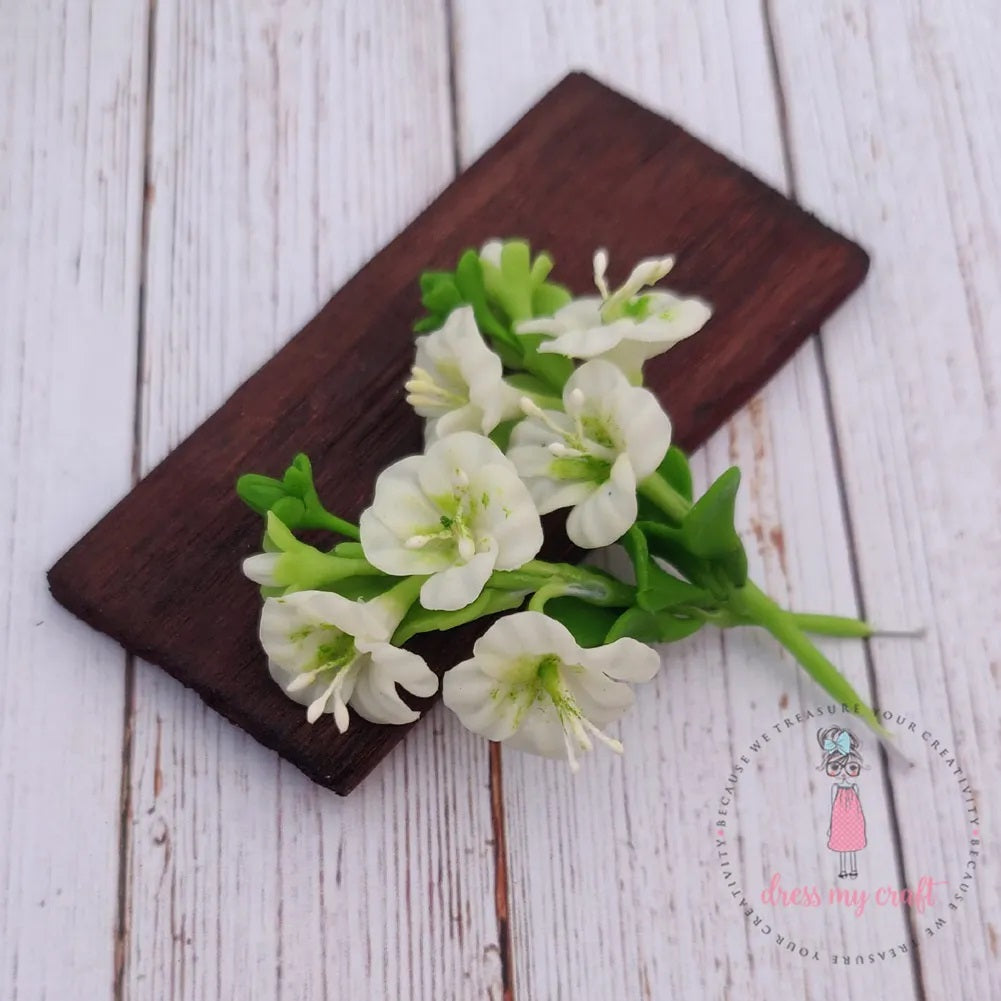 White Hibiscus Flower