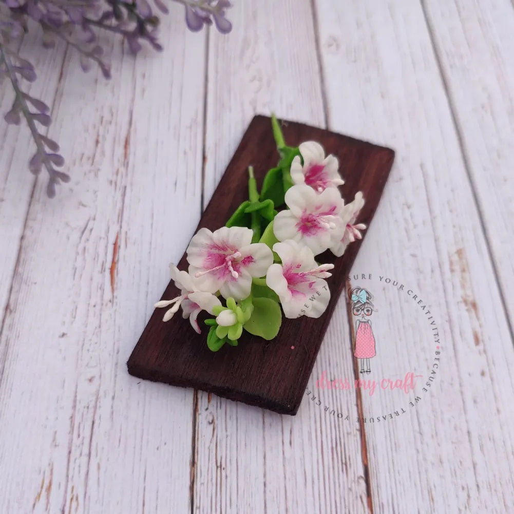 Pink White Shade Hibiscus Flower