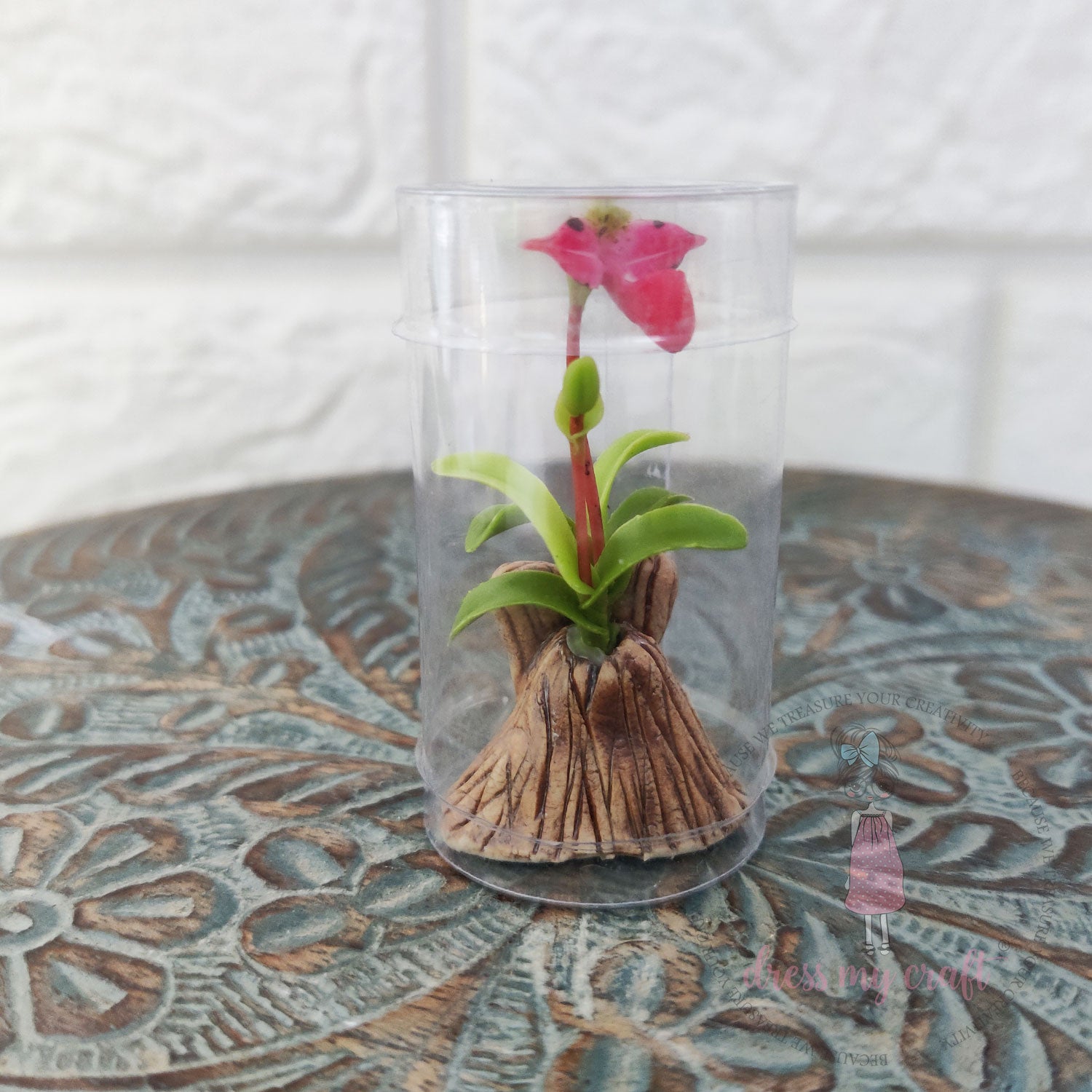 Miniature Orchid Bunch - Pinkish White With Pot & Box