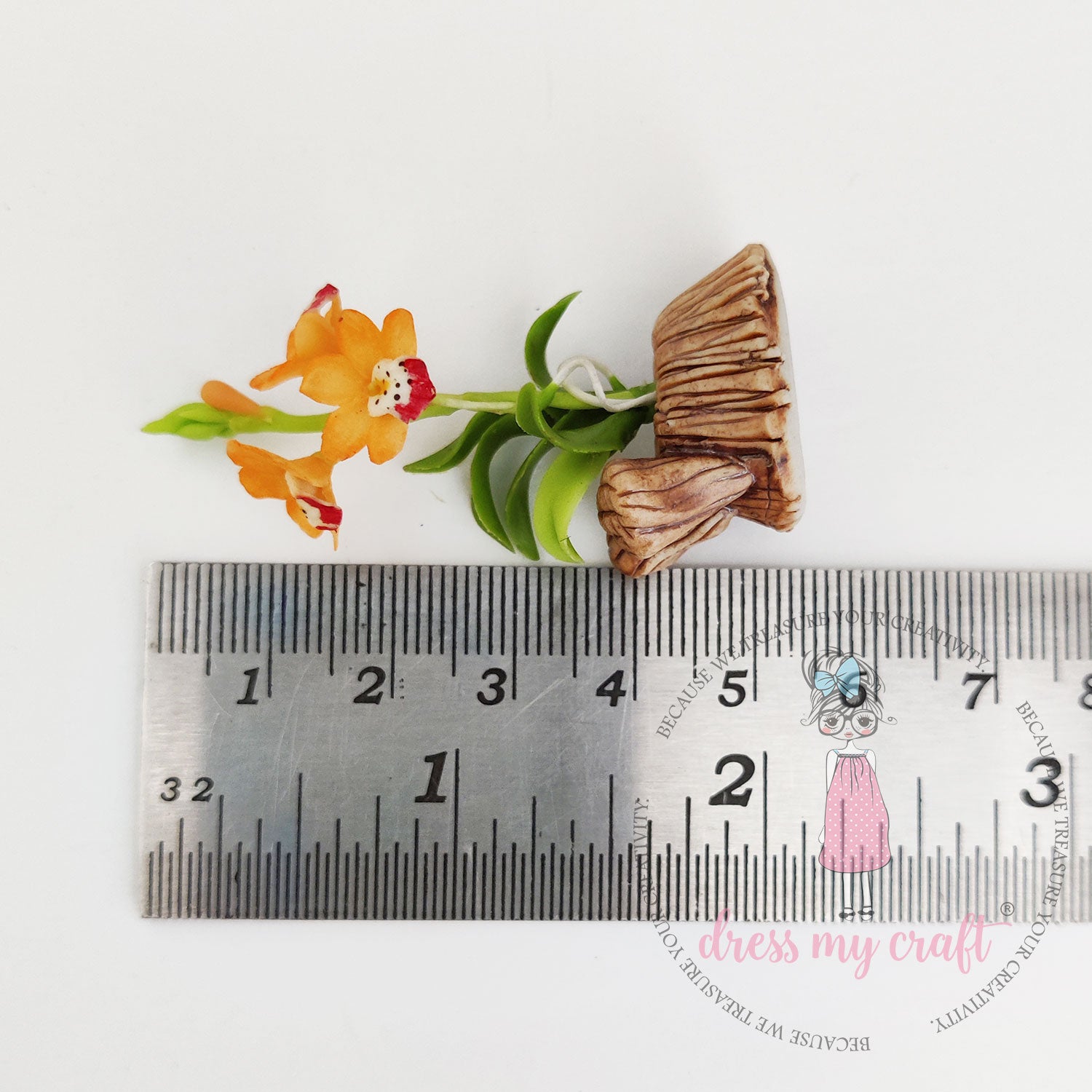 Miniature Boat Orchid Bunch - Orange With Pot & Box