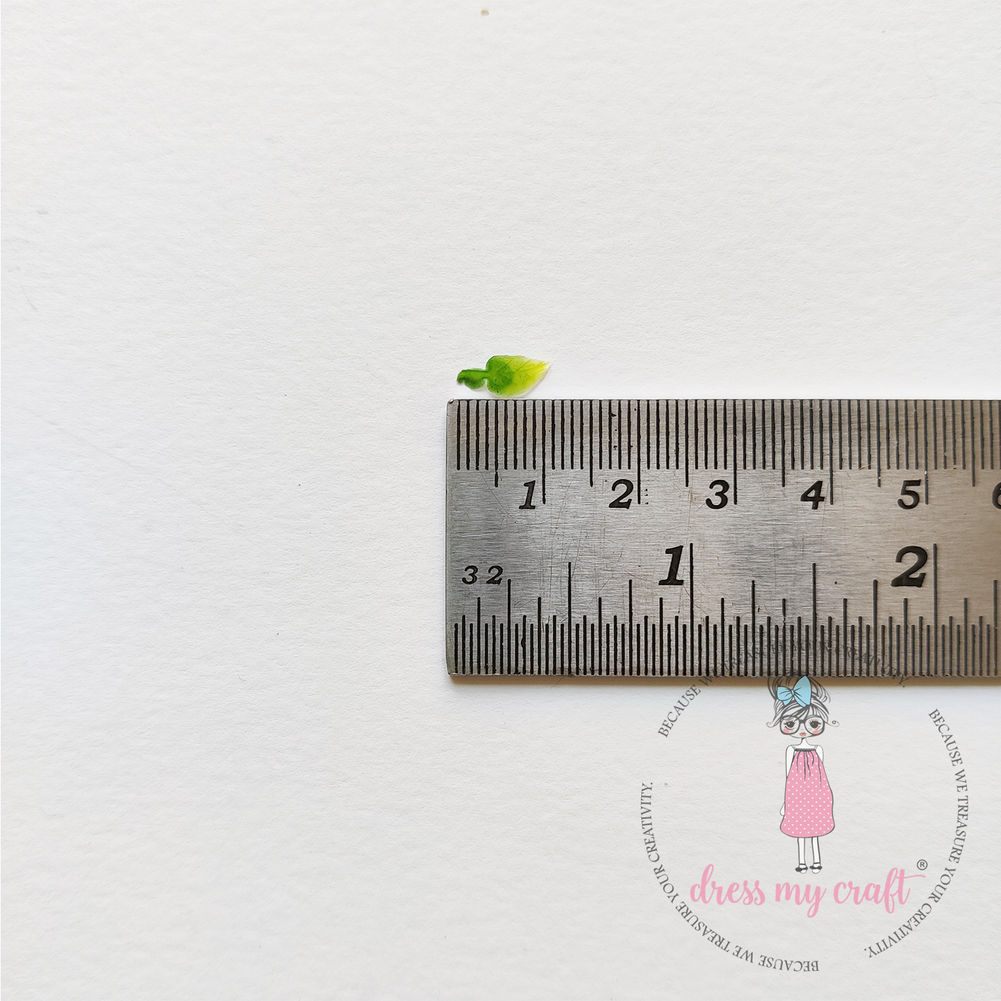 Miniature Red Wine Steak Set