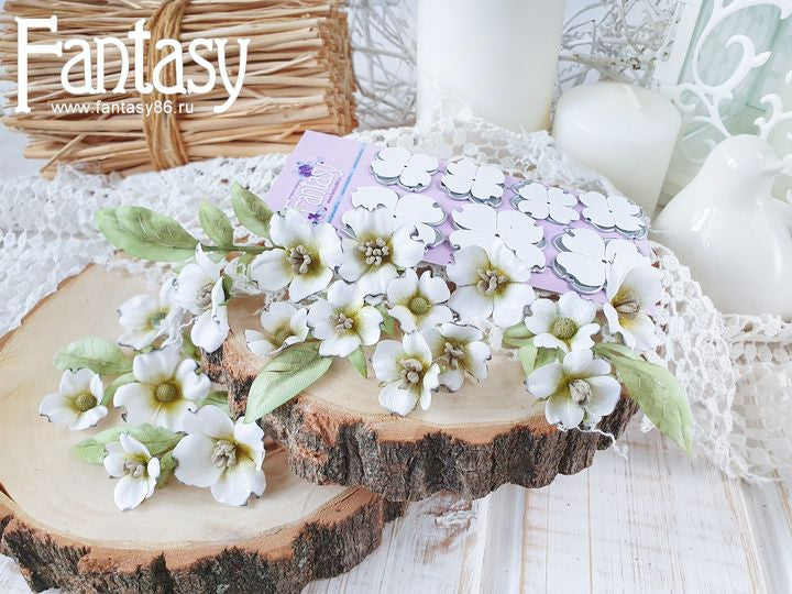 Dogwood Flowers 2-1469