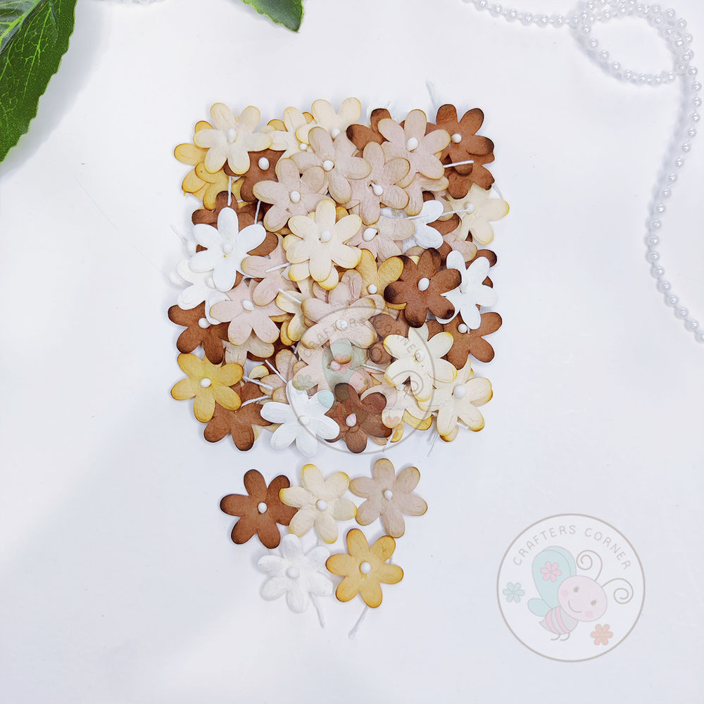 Flat Flowers With Pollens - Brown Family