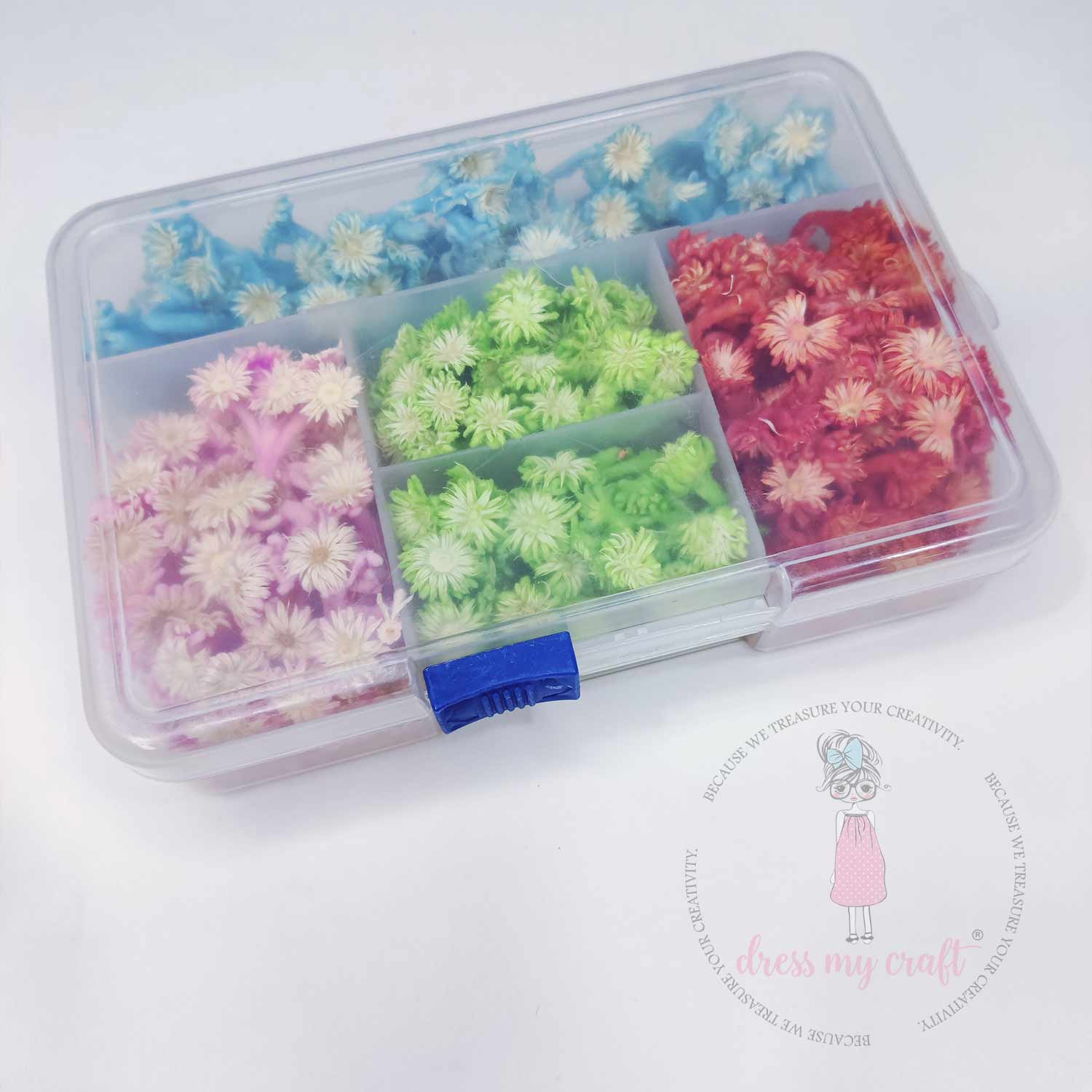 Goniopora - Dry Flowers Kit