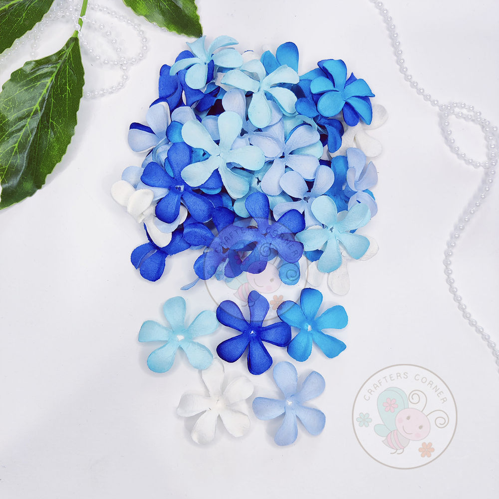 Jasmine Flower Petals - Blue Family