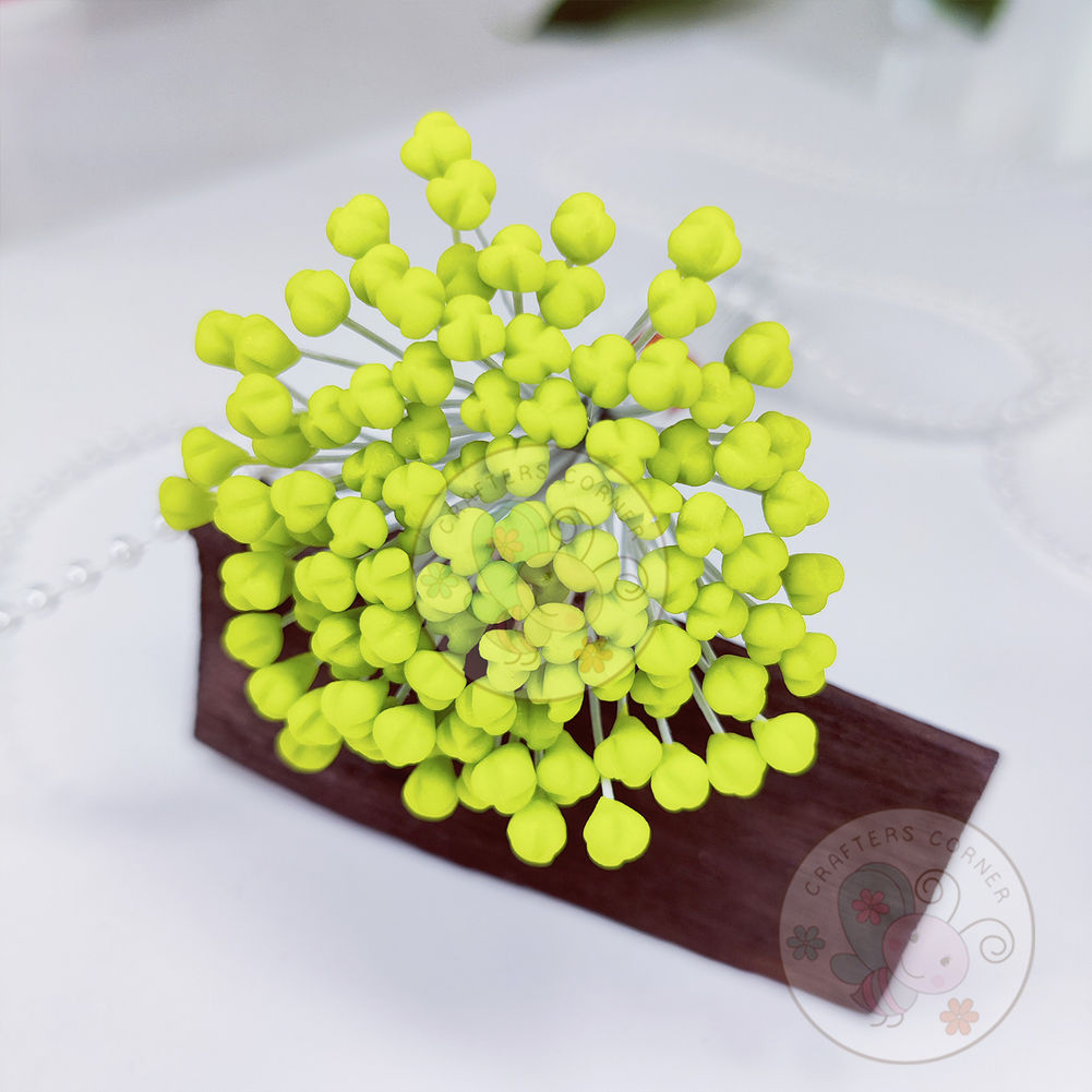 Lily Center Pollens Medium - Pear Green