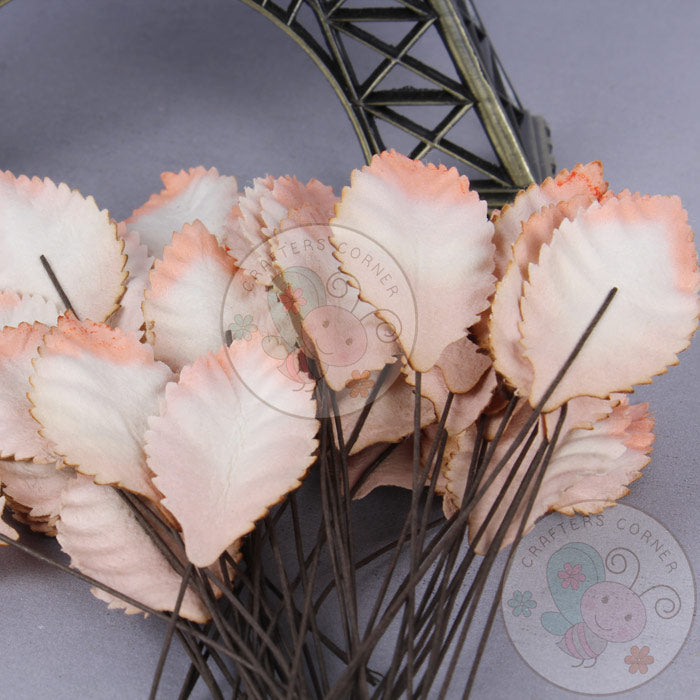 Peachish Cream - Mulberry Leaves