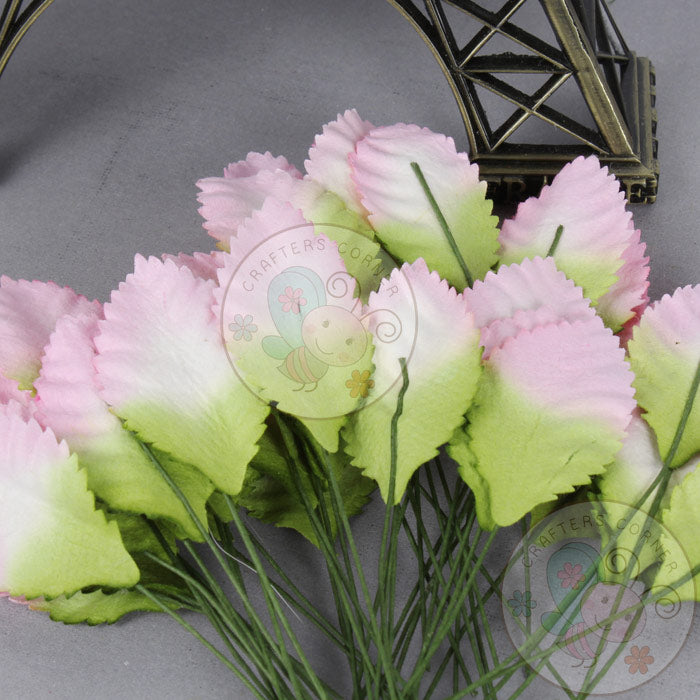 Pinkish Green - Mulberry Leaves 35 MM