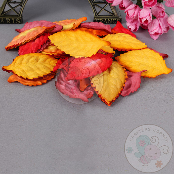 Spring Season - Mulberry Leaves