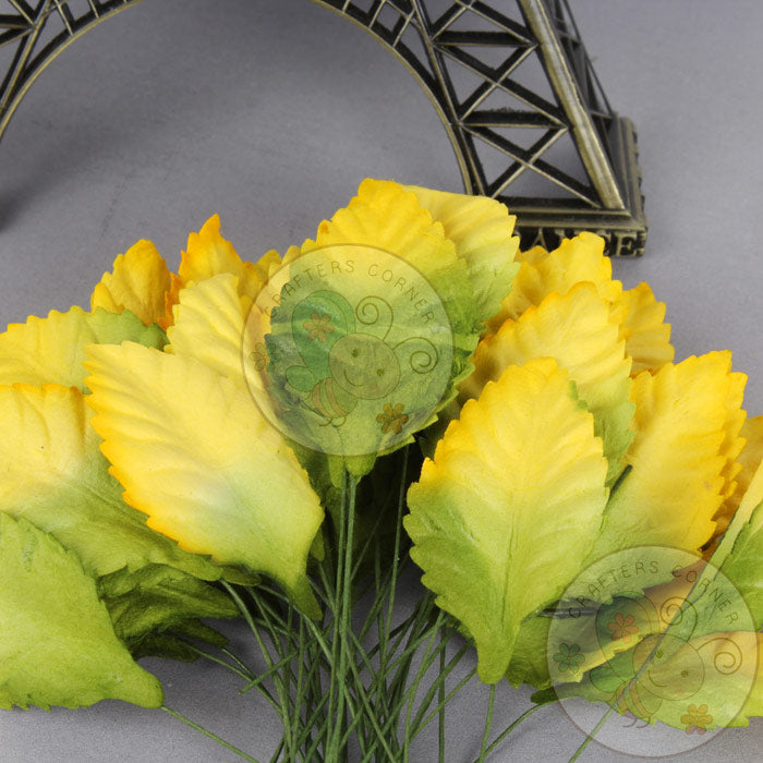 Yellowish Green - Mulberry Leaves