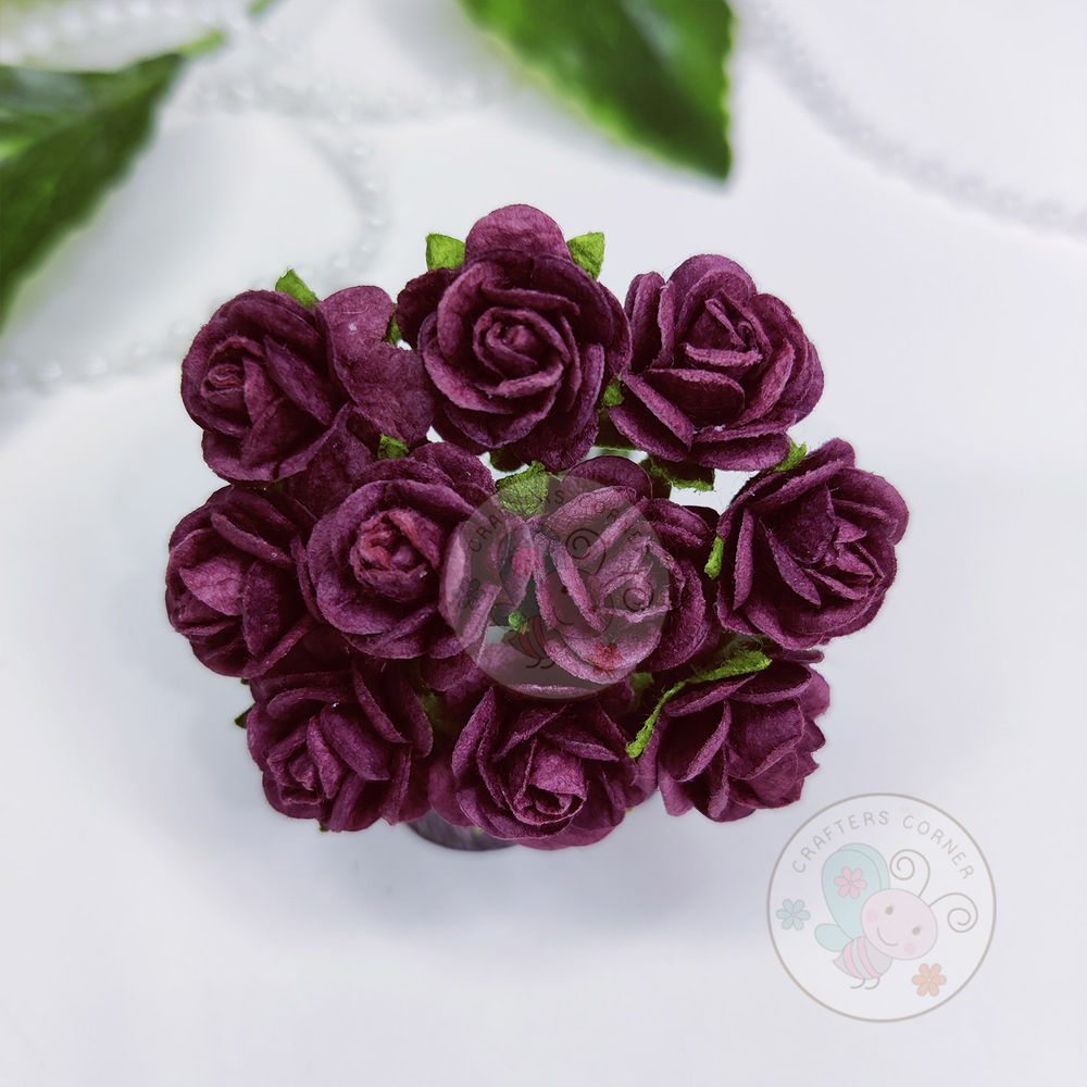 Micro Mini Roses - Dark Wine