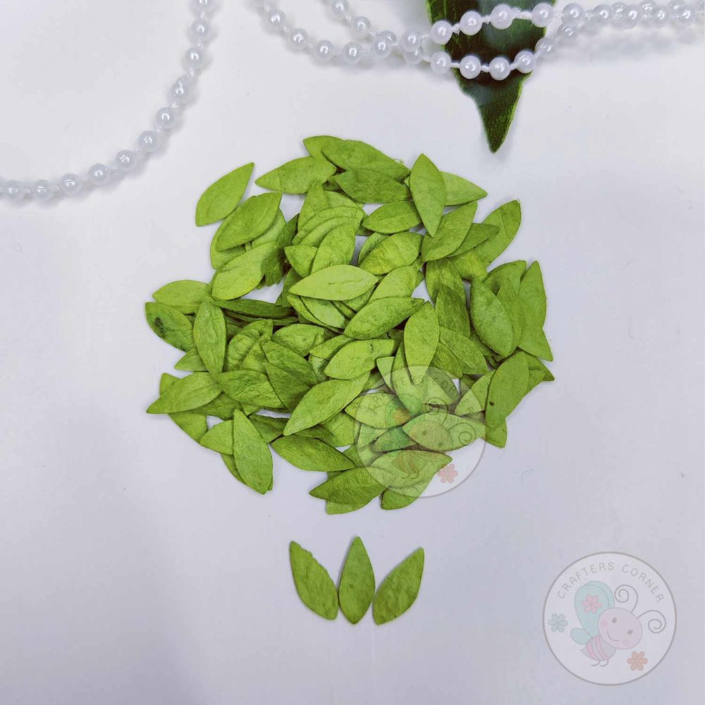 Micro Mini Rose Mulberry Leaves - Olive Green