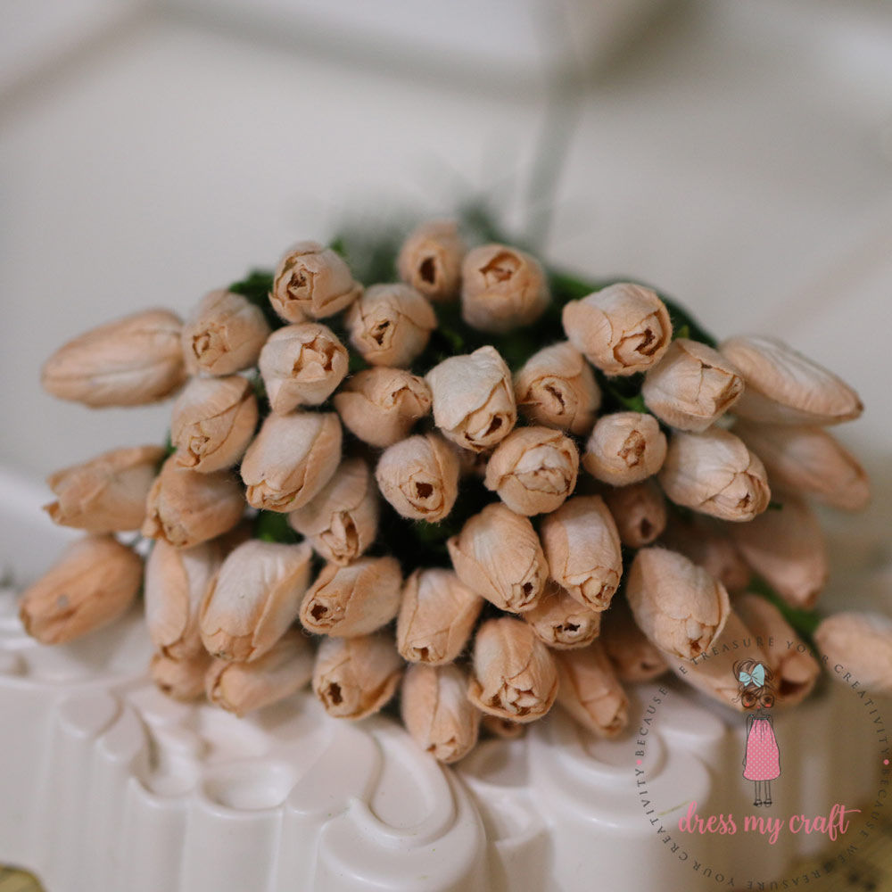Tulip Buds - Light Peach