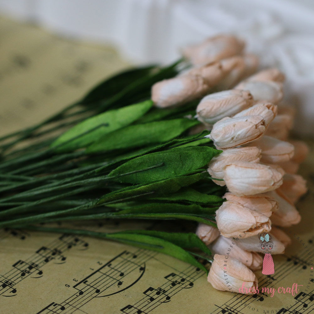 Tulip Buds - Light Peach