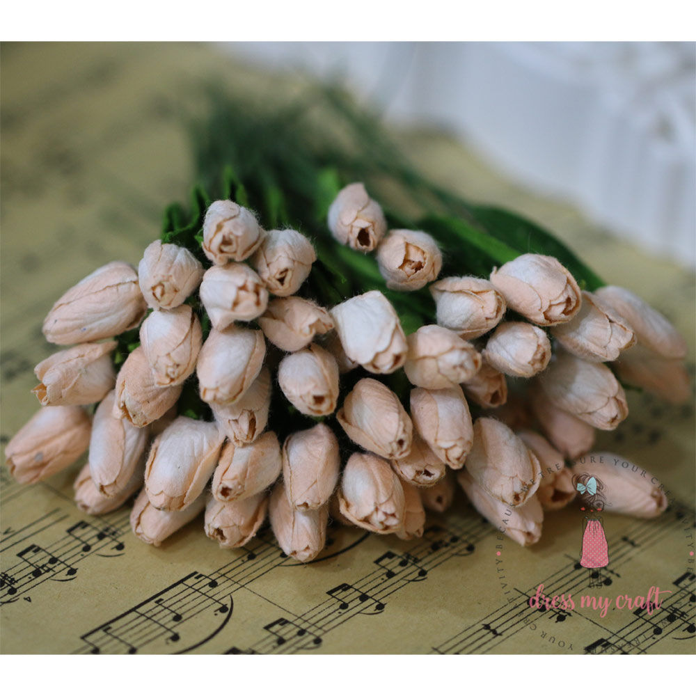 Tulip Buds - Light Peach