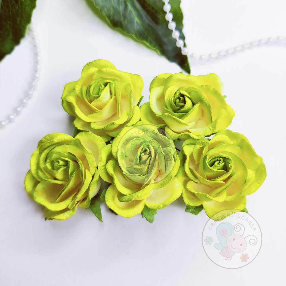 Curved Roses 35 MM - Lime Green