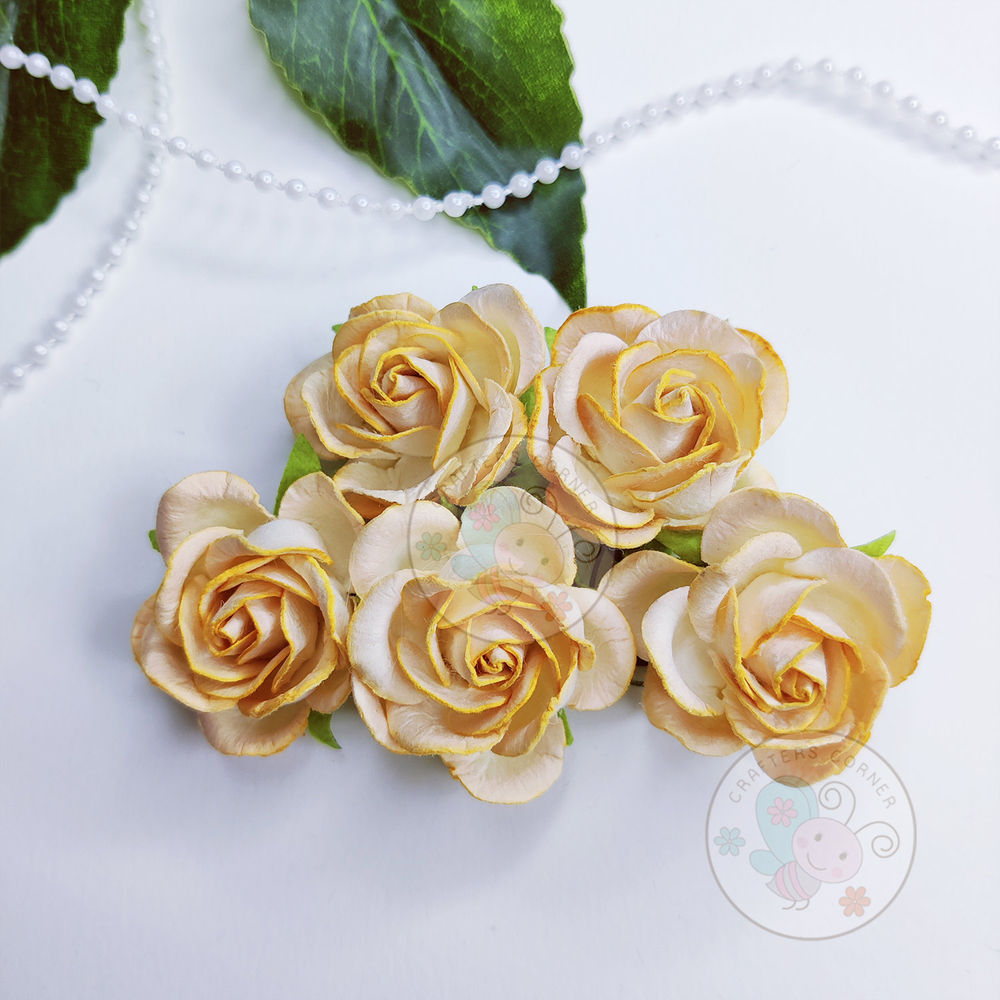 Curved Roses 35 MM - Light Peach