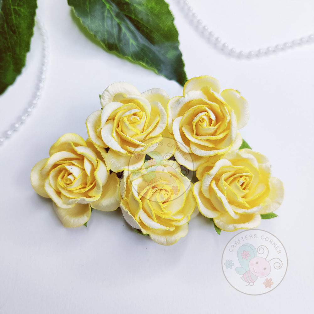 Curved Roses 35 MM - Butter Milk