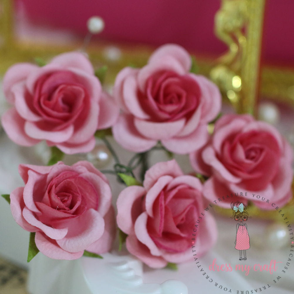 Curved Roses 35 MM - Pink Combo