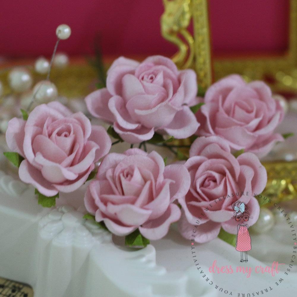 Curved Roses 35 MM - Baby Pink