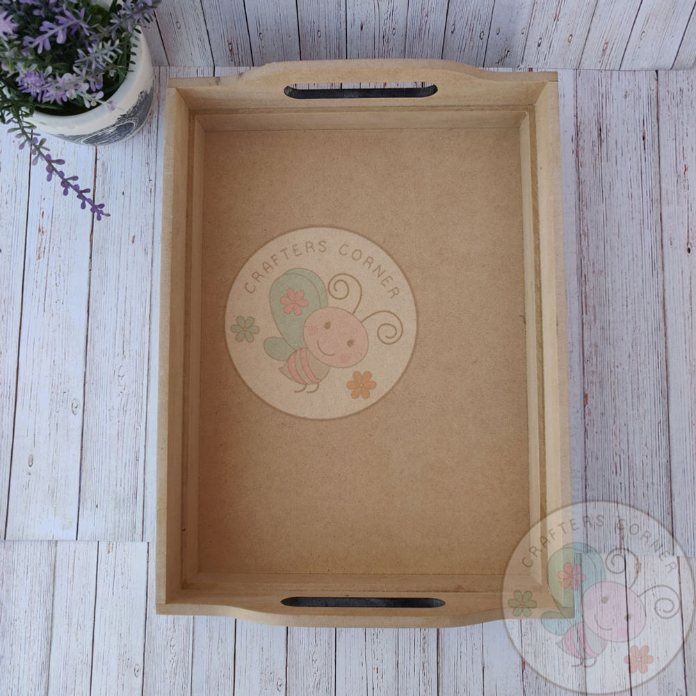 Regular Tray With Acrylic Sheet (11.8 X 8.8 Inch)