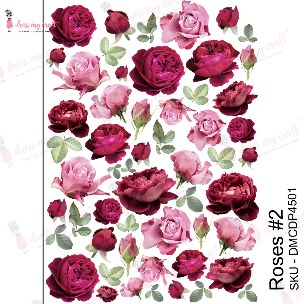 Roses #2 - Transfer Me