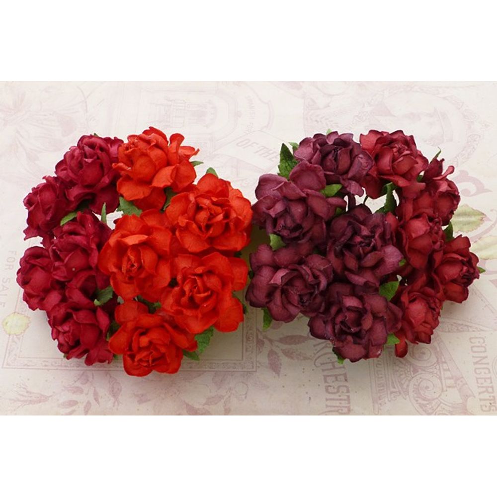 Twisted Roses Combo - Red Tone