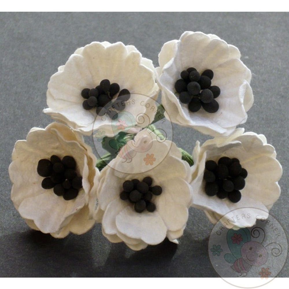 Poppy Flower with Pollens - White/Cream