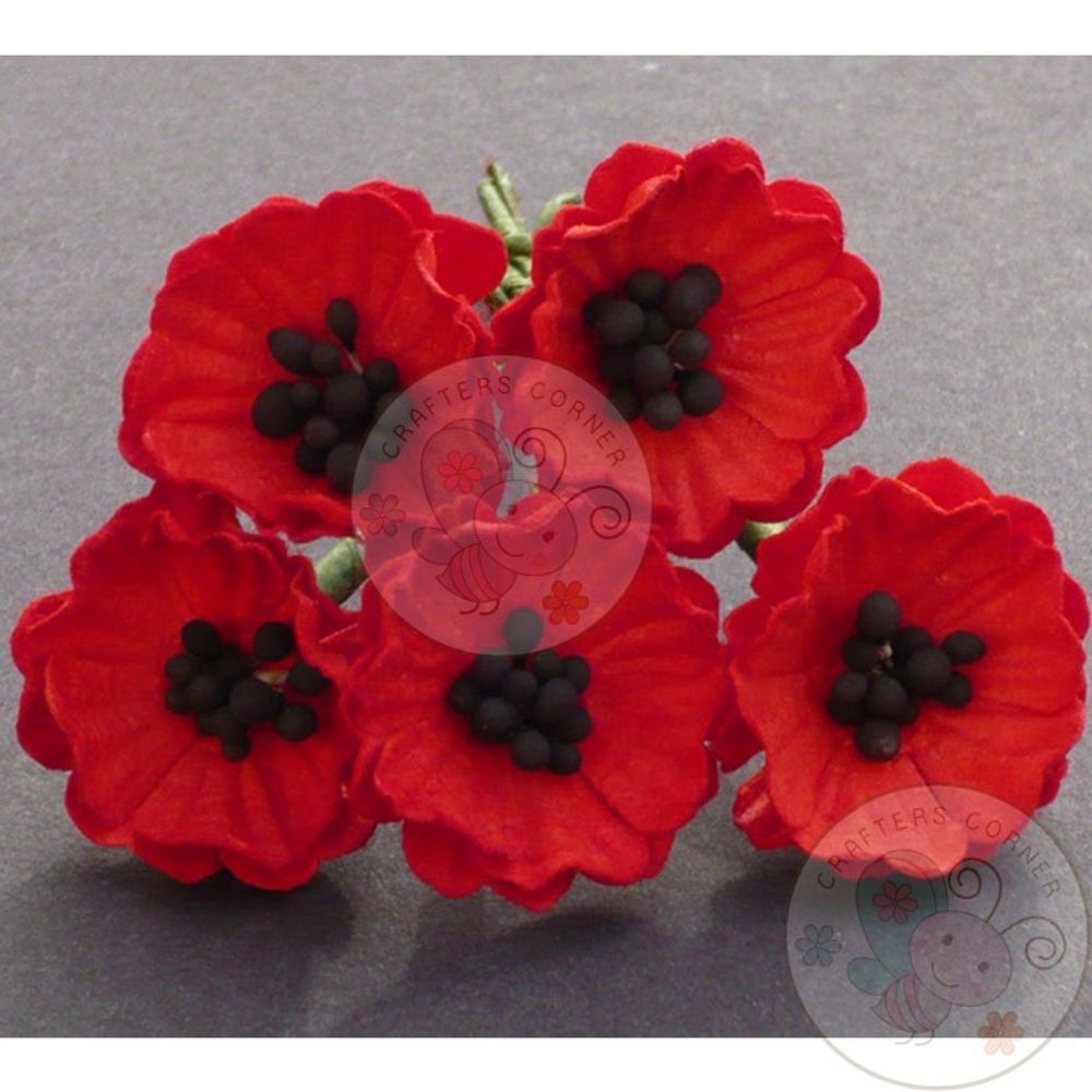 Red - Poppy Flower with Pollens