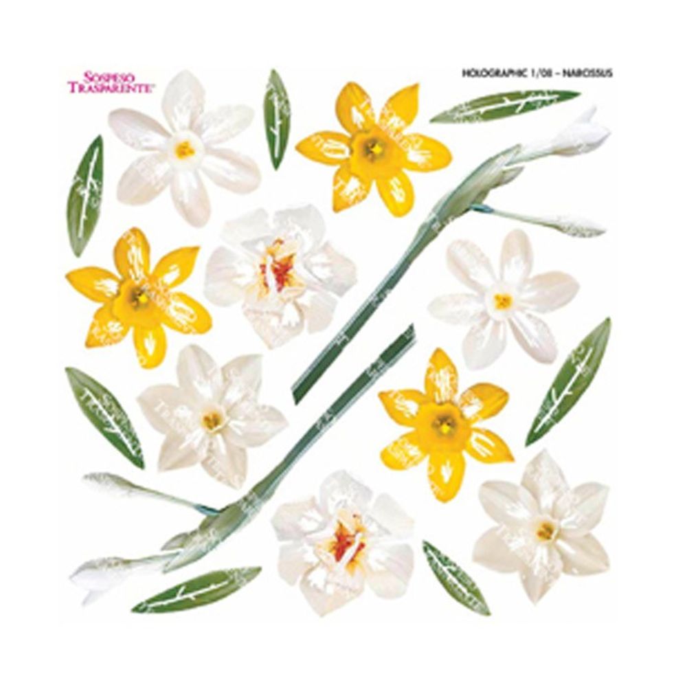 Narcissus - Printed Holographic Film