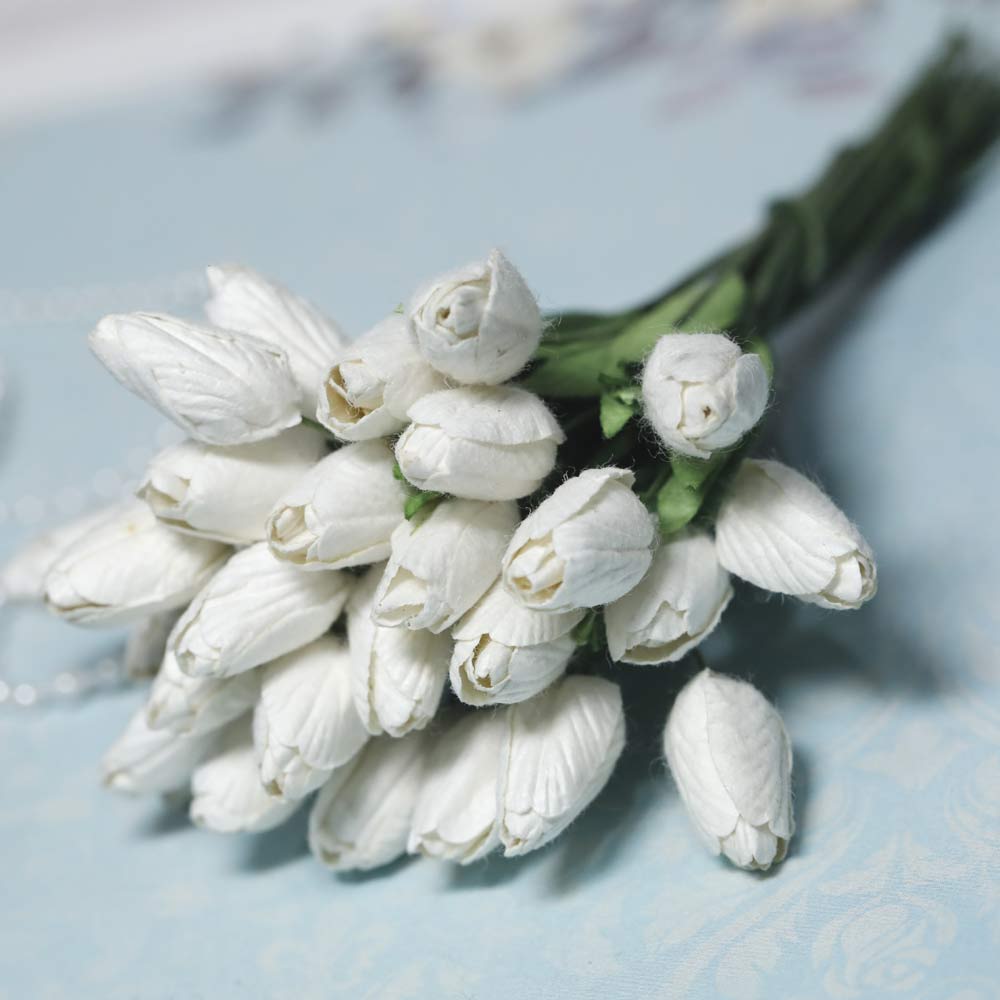 White - Tulip Buds With Leaves