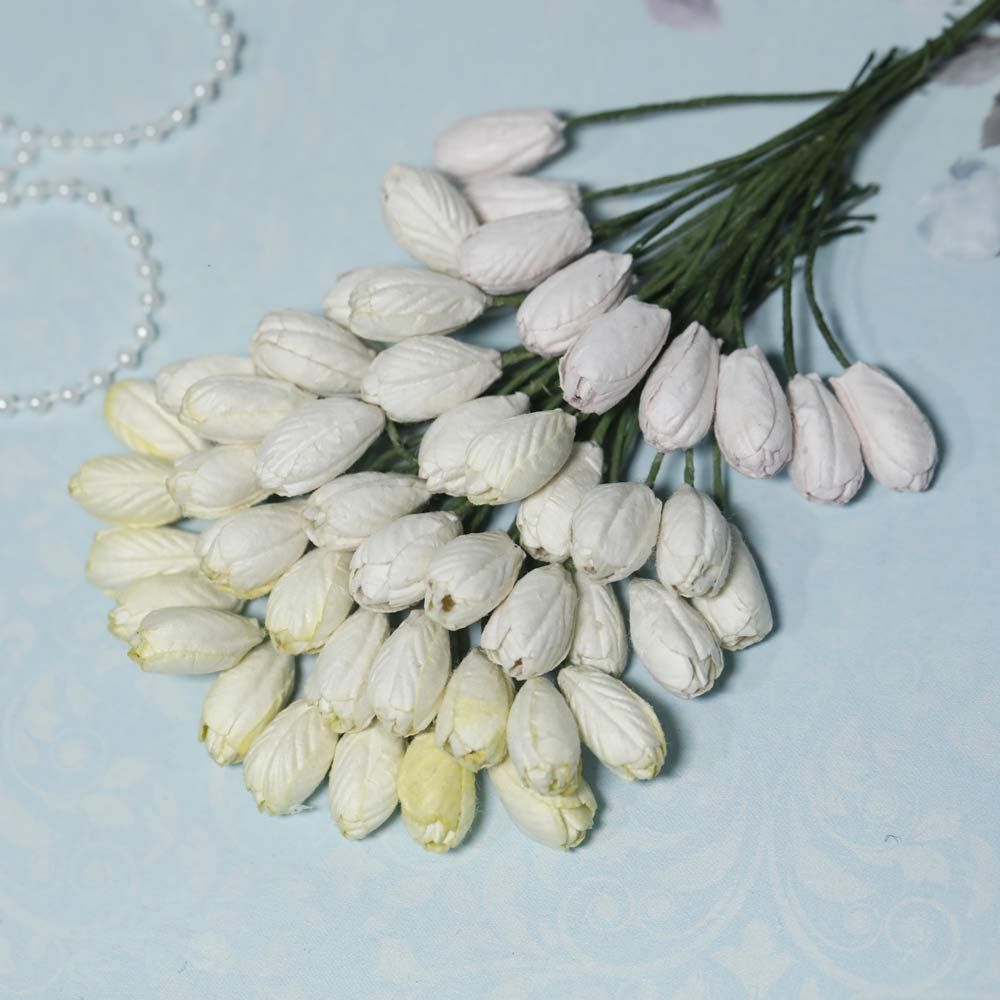 Tulip Flowers - Ivory Family