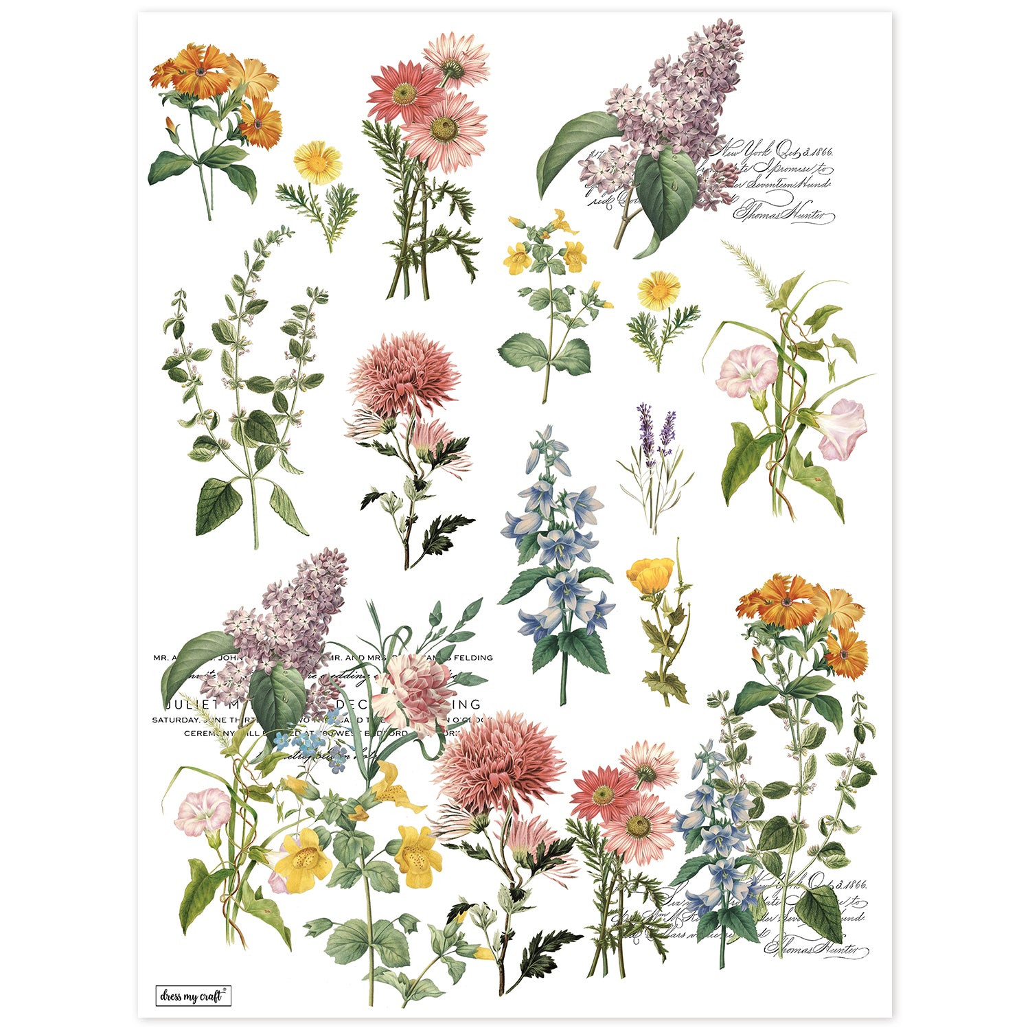 Rub-On Transfer Sheet -Set 1