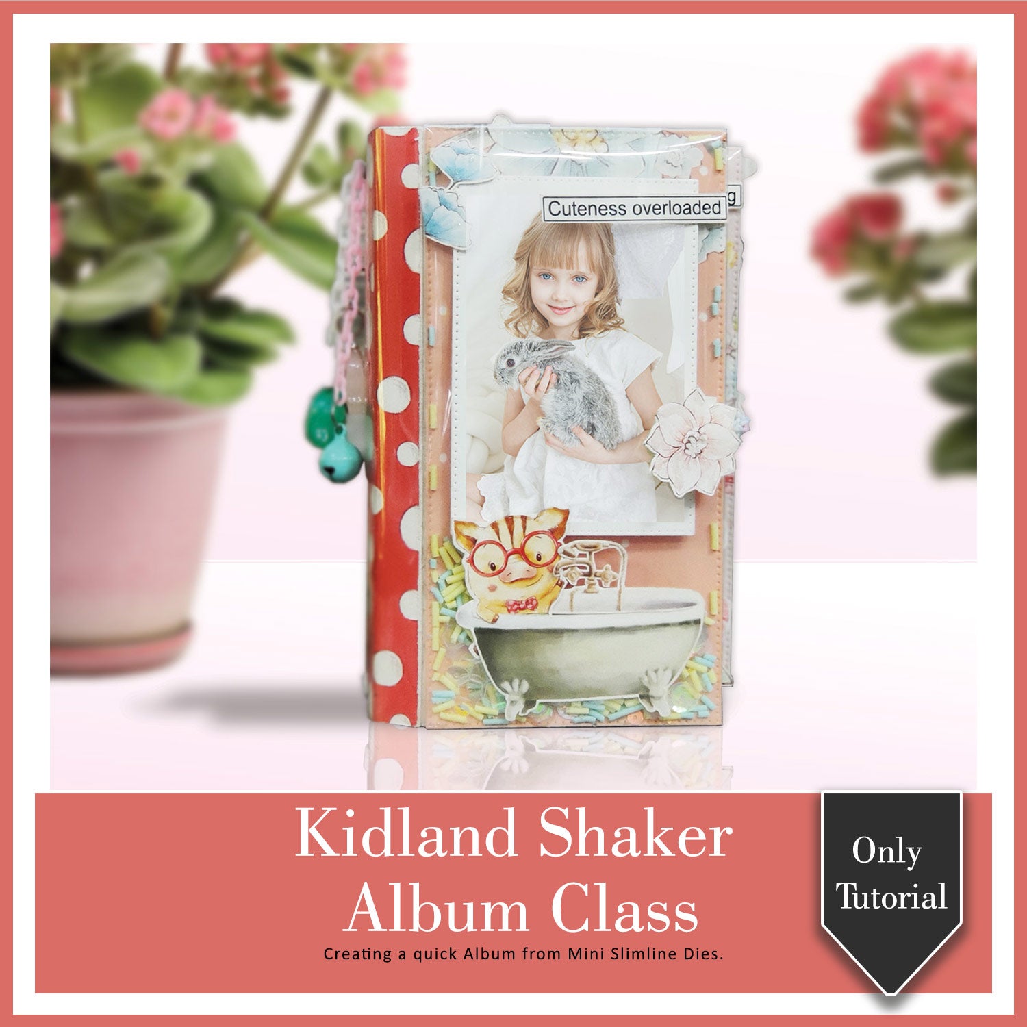 Kidland Shaker Album (Tutorial Only)